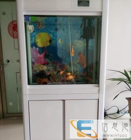鱼缸低价转让