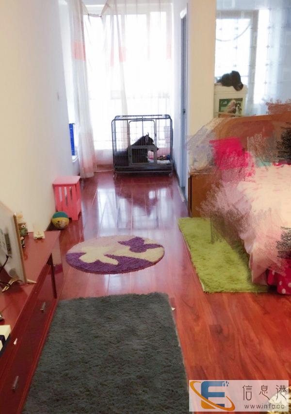 阿拉斯加狗笼吐血价150