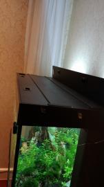 德国黑钻草缸转卖