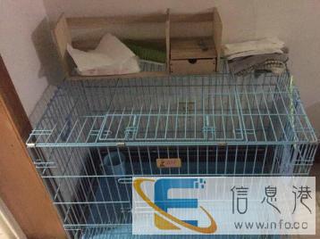 8成新狗用品价格80