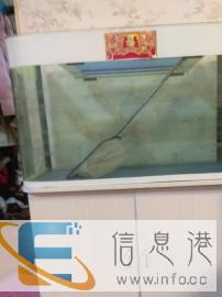 1米5鱼缸低价诚心出需自提