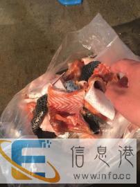 三文鱼边角料猫狗