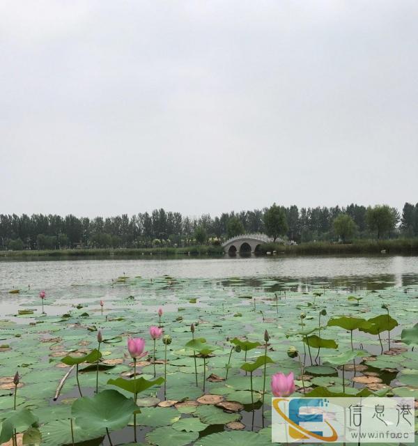 找一位人保姆阿姨带孩子干家务