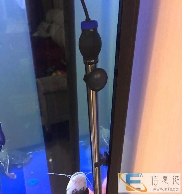 特价处理一米超白玻璃鱼缸