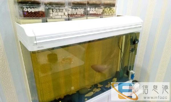 低价处理鱼缸价格合适有需要的可以前来选购
