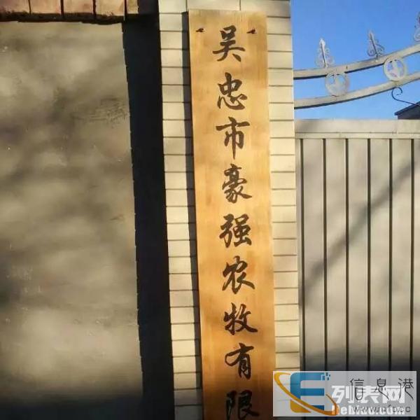 人工饲养大公鸡，宴席可用