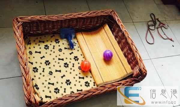 全新藤编狗窝60 80cm适合中小型猫犬