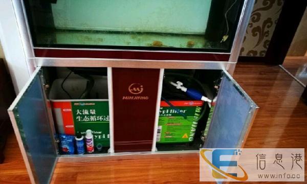 自用家庭生态鱼缸出售九成新