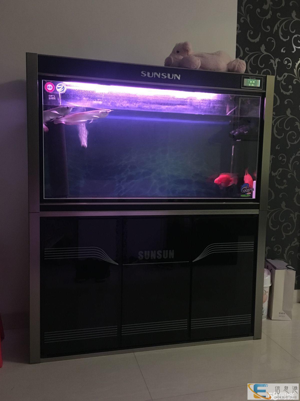 9成新鱼缸价格面议