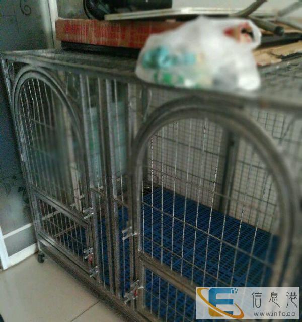 9成新狗笼子宠物吹水机