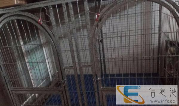 狗笼子价格600，长