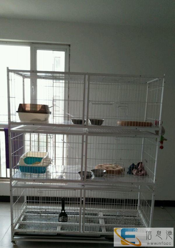 九五成新猫笼出售