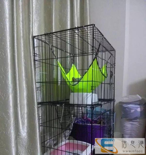 折叠三层猫笼子转让