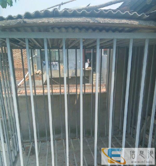 出售大型犬狗笼一个