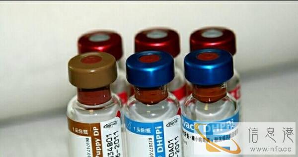 供货商直接批发各类犬用疫苗