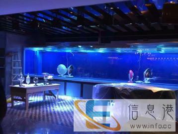 定做鱼缸，设计大型鲨鱼缸，龙鱼缸，大型锦鲤池