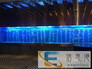 定做鱼缸，大型龙鱼缸，鲨鱼缸，雨林缸，水草缸造景