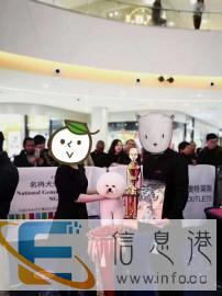 西伯曼无谷天然粮