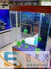 西安市较大库房鱼缸直销店各类鱼缸便宜处理