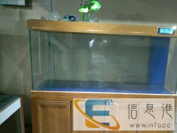 观赏鱼缸日常维护，维修鱼缸，鱼缸搬家