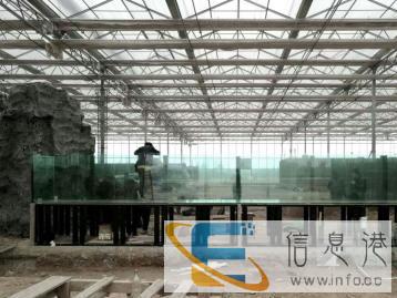 专业定做鱼缸，水草缸，景观设计大型龙鱼缸，海水缸