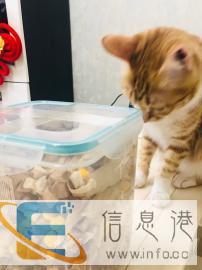 宠物冻干零食全家桶