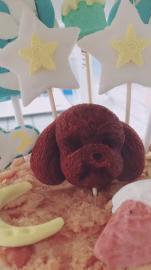 No哥的零食铺子