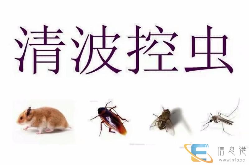 韶关灭鼠除虫白蚁防治公司 20年行业经验持证上岗