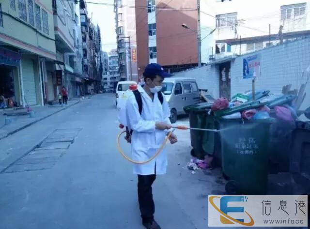 韶关地区专业灭鼠除虫白蚁防治公司