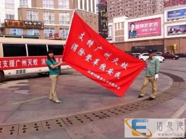 酒店灭鼠灭蟑螂 商场灭鼠 工厂等灭鼠除虫白蚁防治