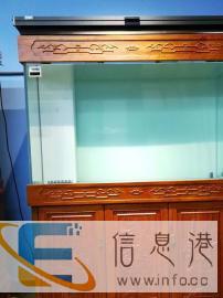 水族店更换样品缸，现处理店里9.5成新样品龙鱼鱼缸