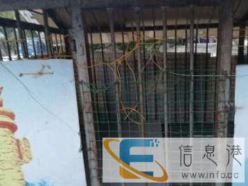 9成新狗用品价格面议