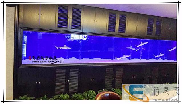 徐州鱼缸定做 徐州鱼缸定做