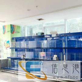 私人订制鱼缸和海鲜池