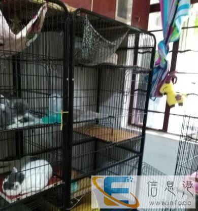 超大猫笼,8成新,贱卖