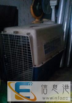 出售空运笼子