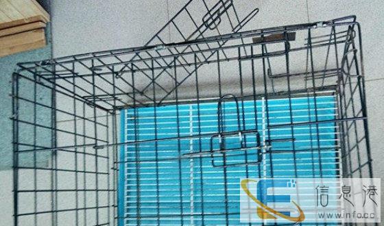 全新狗用品价格50