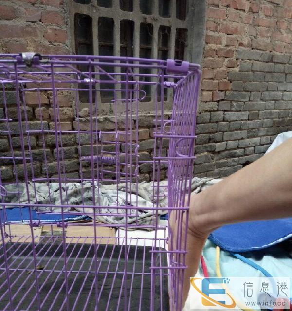 各种狗用笼子，跑笼展示笼，大小都有价格不等25起