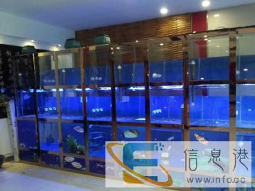 专业定做海鲜池，贝壳池，鱼缸