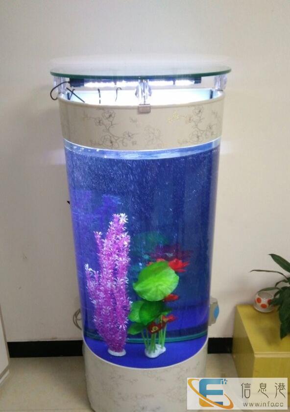 鱼缸处理啦