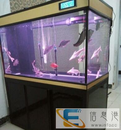 出售仿彩蝶龙鱼缸