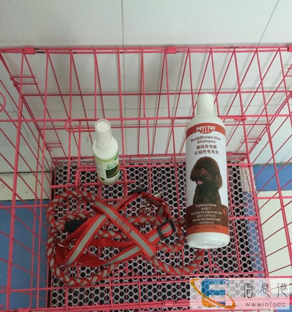 之前给家里泰迪狗用的东西,现在小狗送人了