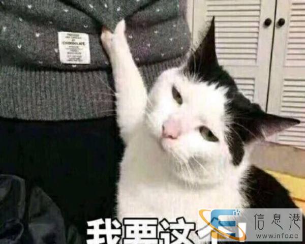 粉色超大猫笼转让