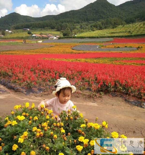 找一个干净利索有爱心有经验的保姆