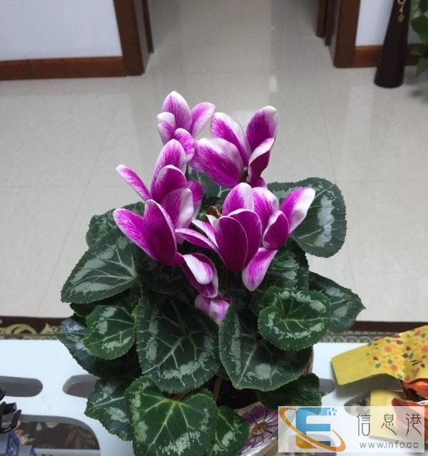 找个看孩子的阿姨