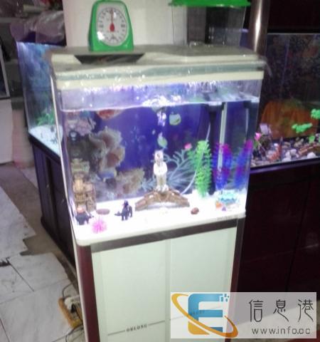 水族馆门面到期BOLONG品牌鱼缸亏本甩卖