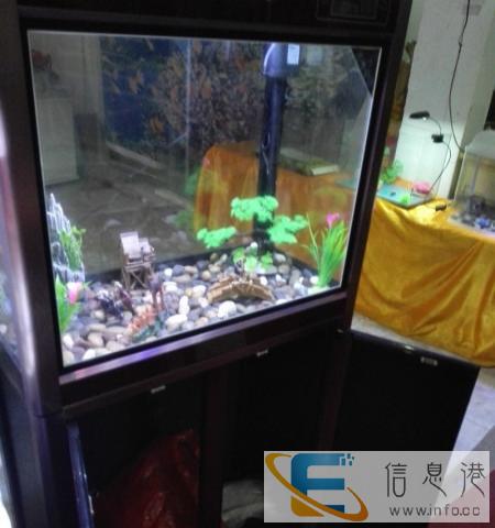 水族馆门面到期品牌鱼缸亏本甩卖卖卖卖亏