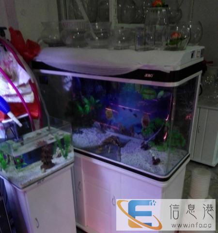 水族馆门面到期佳宝品牌鱼缸亏本卖,亏 白色