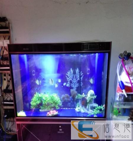 水族馆门面到期品牌底滤鱼缸亏本甩卖