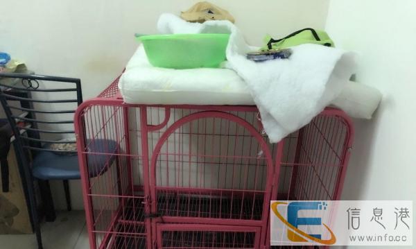 宠物狗笼子大号粉色